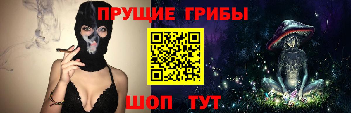 Галлюциногенные грибы мицелий Баксан