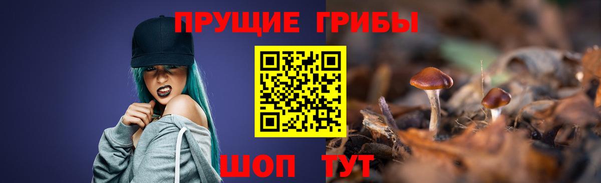 Псилоцибиновые грибы Cubensis  Вход с VPN  Баксан 